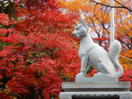 Exploring Kitsune: Japan's Fox Culture
