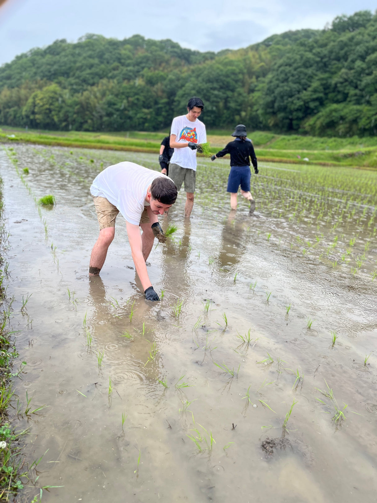 Yamada Nishiki Storytelling, Sake Tasting & Craft Experience