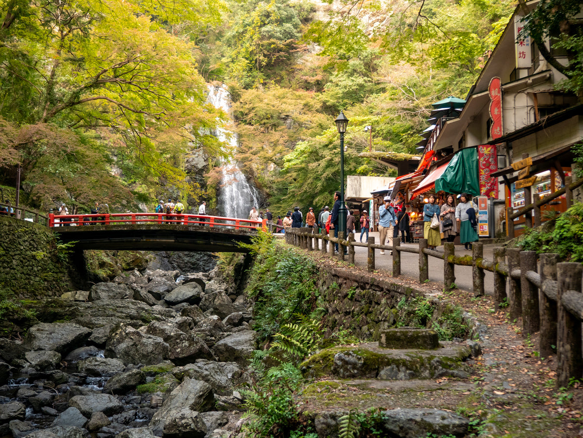 Family Adventure: Culture, Ninjas and Nature in Kansai (5 days,4 nights)