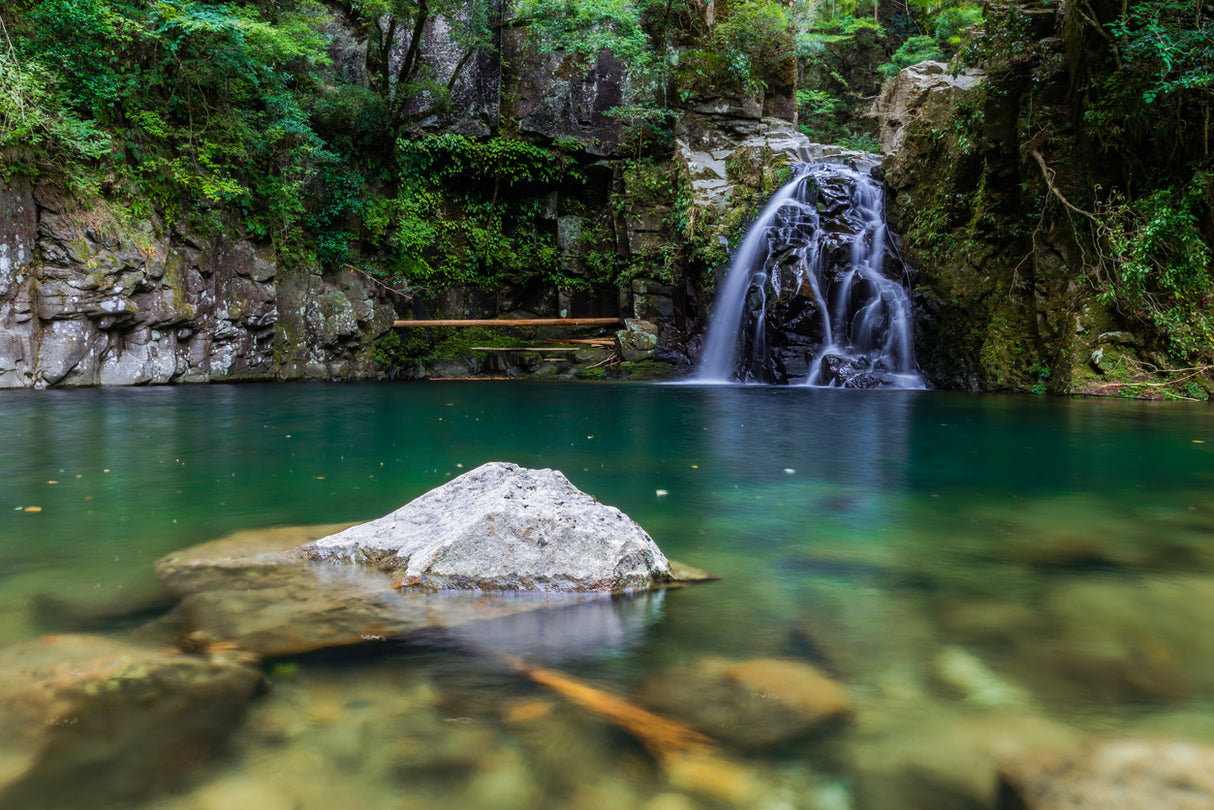 Family Adventure: Culture, Ninjas and Nature in Kansai (5 days,4 nights)