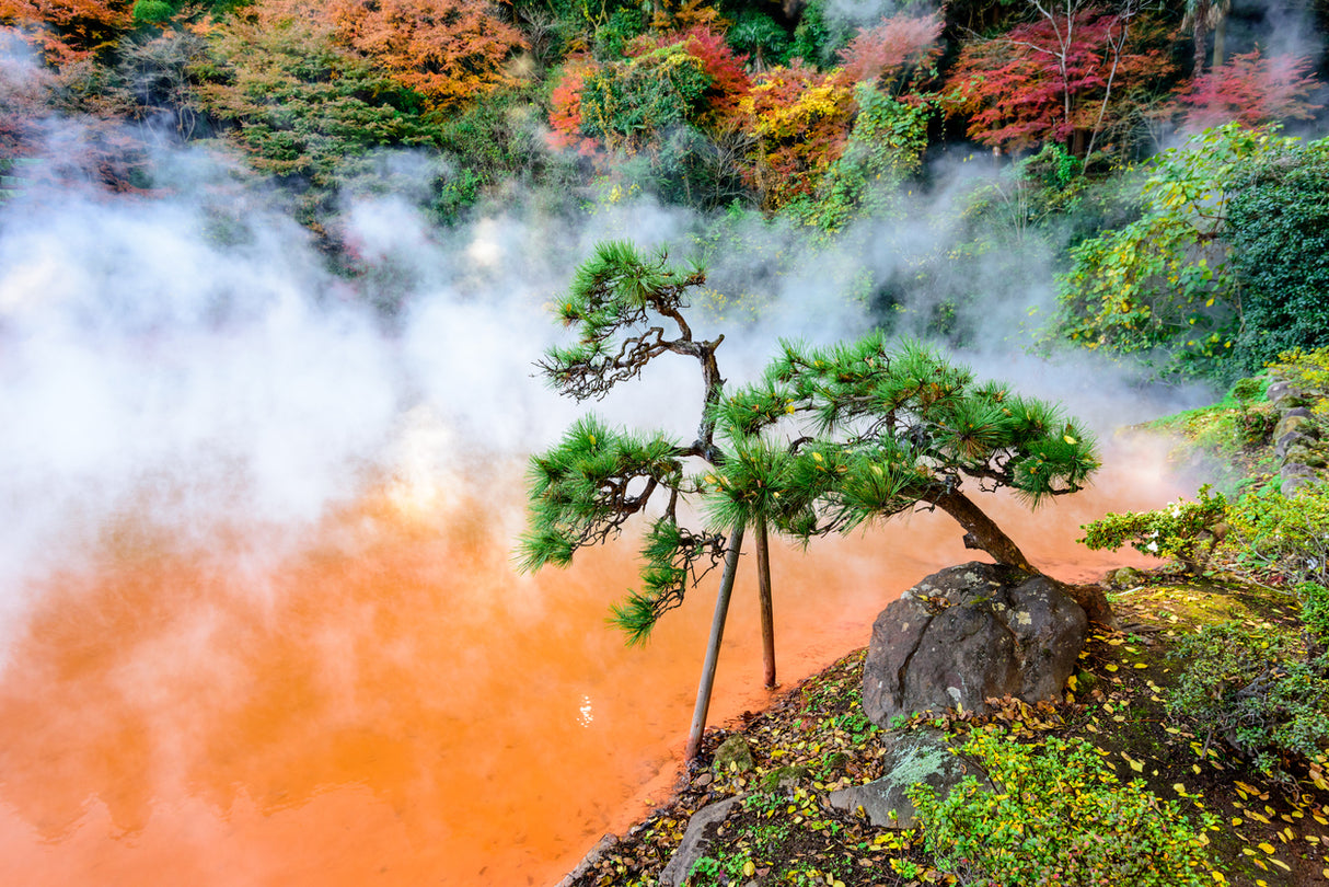 Kyushu: Heaven and Hell Hot Spring Tour (5 days,4 nights)
