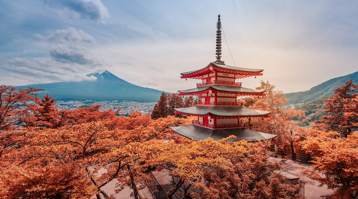 Best of Tokyo and Fuji Autumn Wonders (8 days, 7 nights)