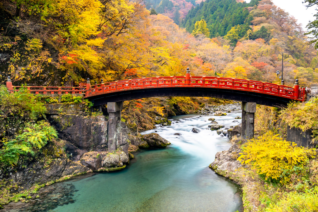 Best of Tokyo and Fuji Autumn Wonders (8 days, 7 nights)