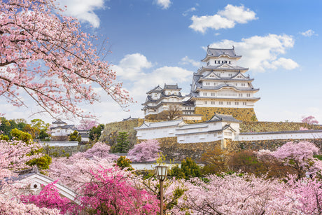 Hyogo Centers of Culture: Pottery, Sake, and Serenity (5 days,4 nights)