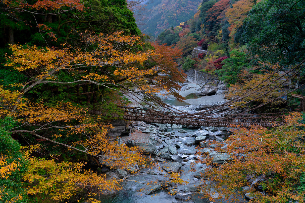 Zen Retreat: Reconnecting with Nature in West Japan (5 days,4 nights)