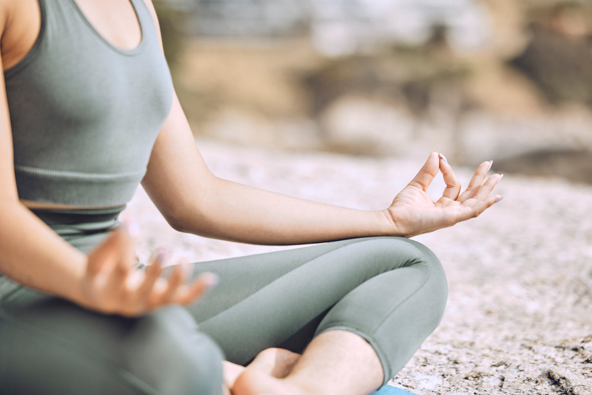 Zen Retreat: Reconnecting with Nature in West Japan (5 days,4 nights)