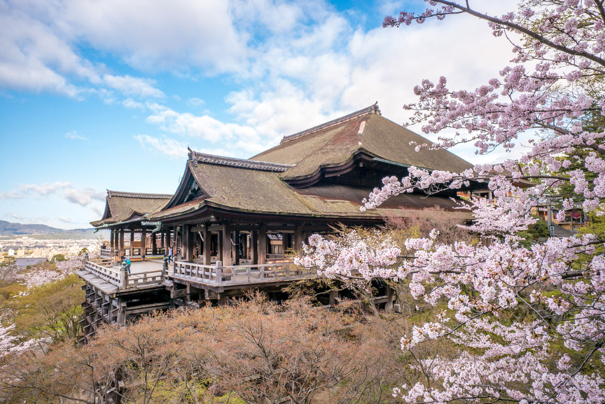 Build-Your-Own Osaka & Kyoto Tour: Classics + Sakura + Local Fun (4 days, 3 nights)