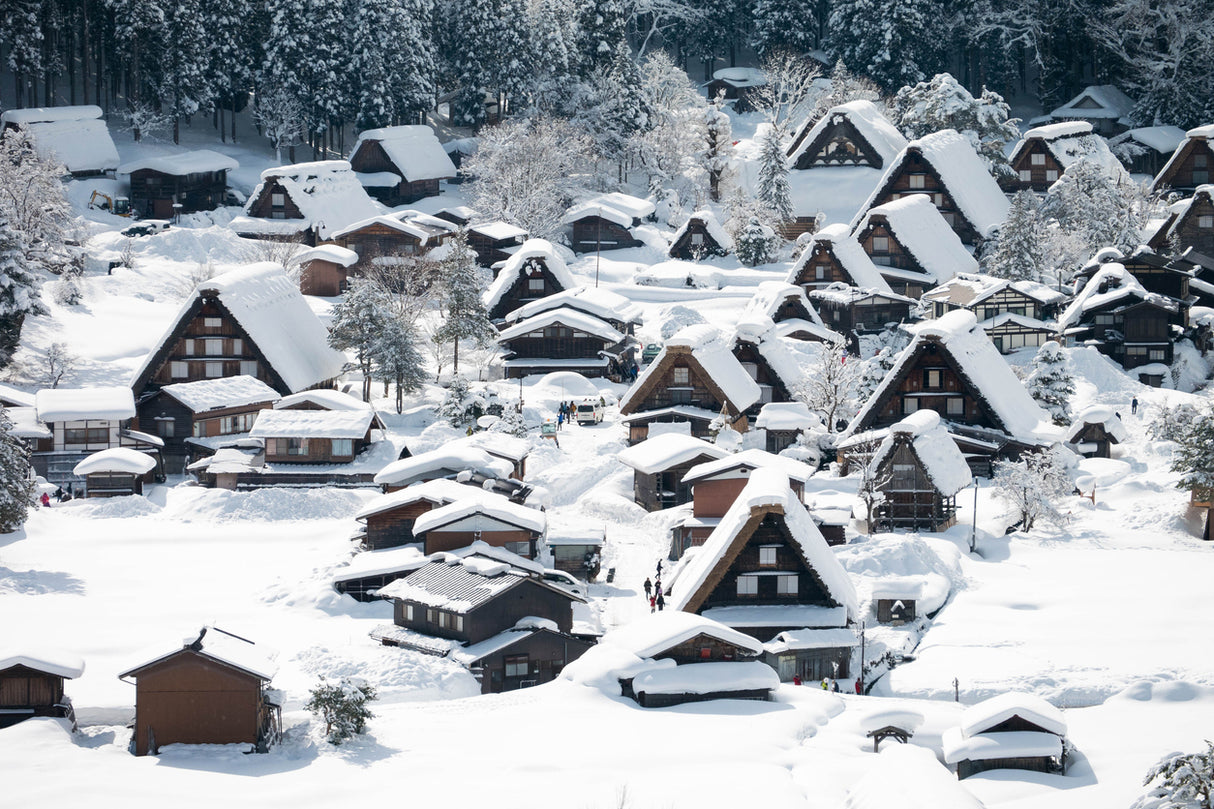 Learn to Ski, Winter in West Japan  (10 days, 9 nights)