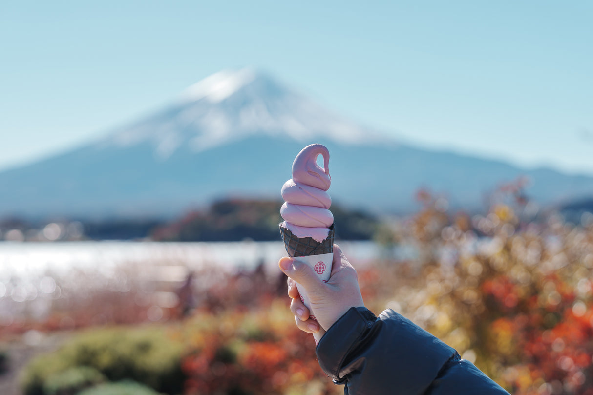Slow Travel Around Fuji, Japan: A Family Journey (6 days, 5 nights)