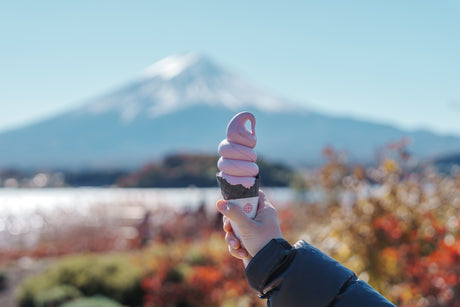 Slow Travel Around Fuji, Japan: A Family Journey (6 days, 5 nights)
