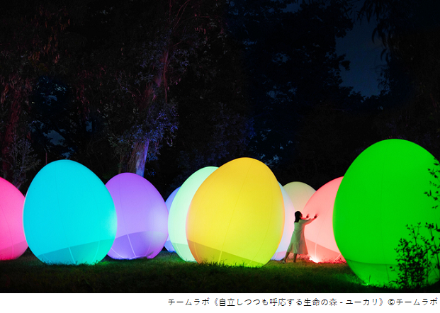 Family Adventure: Culture, Ninjas and Nature in Kansai (5 days,4 nights)