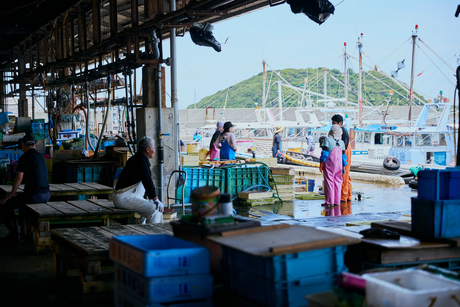 Awaji Island's Fishing Culture