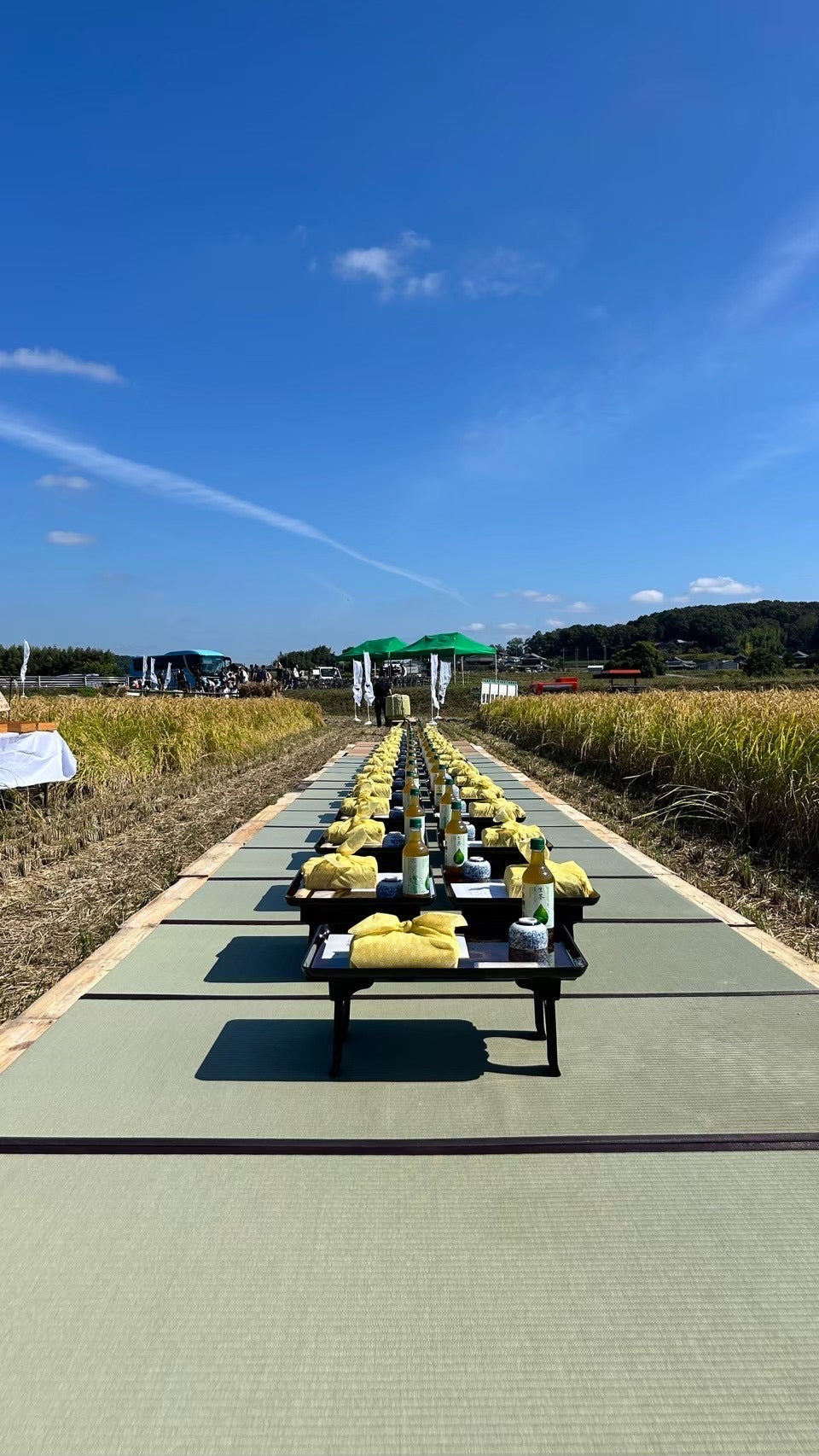 Yamada Nishiki Storytelling, Sake Tasting & Craft Experience