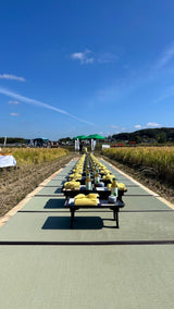 Yamada Nishiki Storytelling, Sake Tasting & Craft Experience