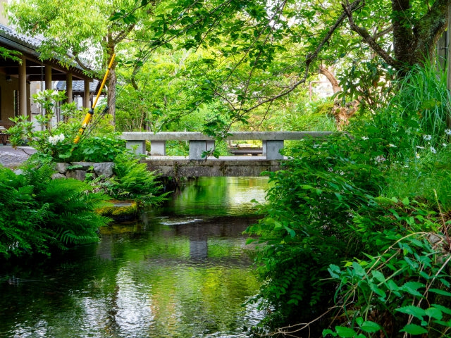 A Journey through Lake Biwa: Local-Guide-Led Explorations of Nature and Cuisine
