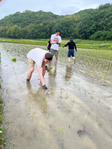 Yamada Nishiki Storytelling, Sake Tasting & Craft Experience