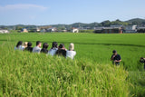 Yamada Nishiki Storytelling, Sake Tasting & Craft Experience