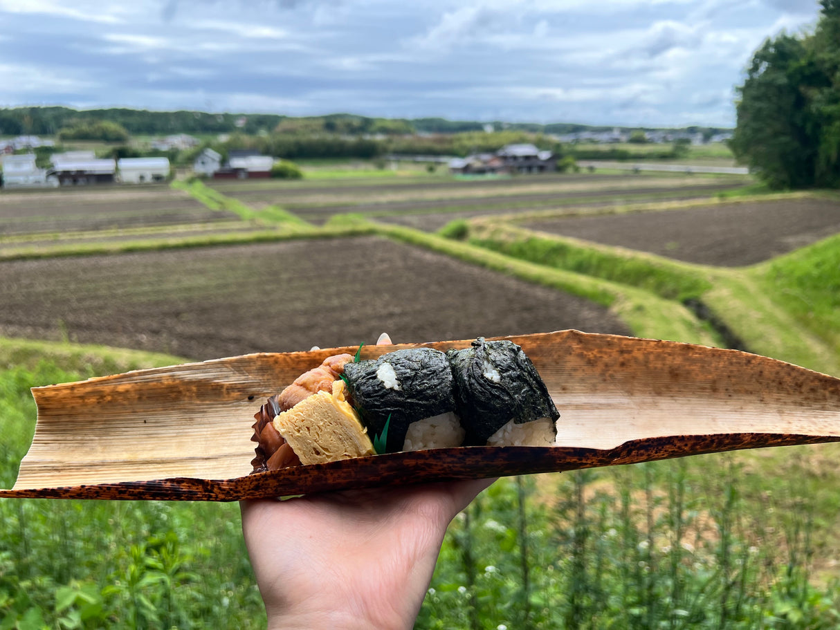 Yamada Nishiki Storytelling, Sake Tasting & Craft Experience