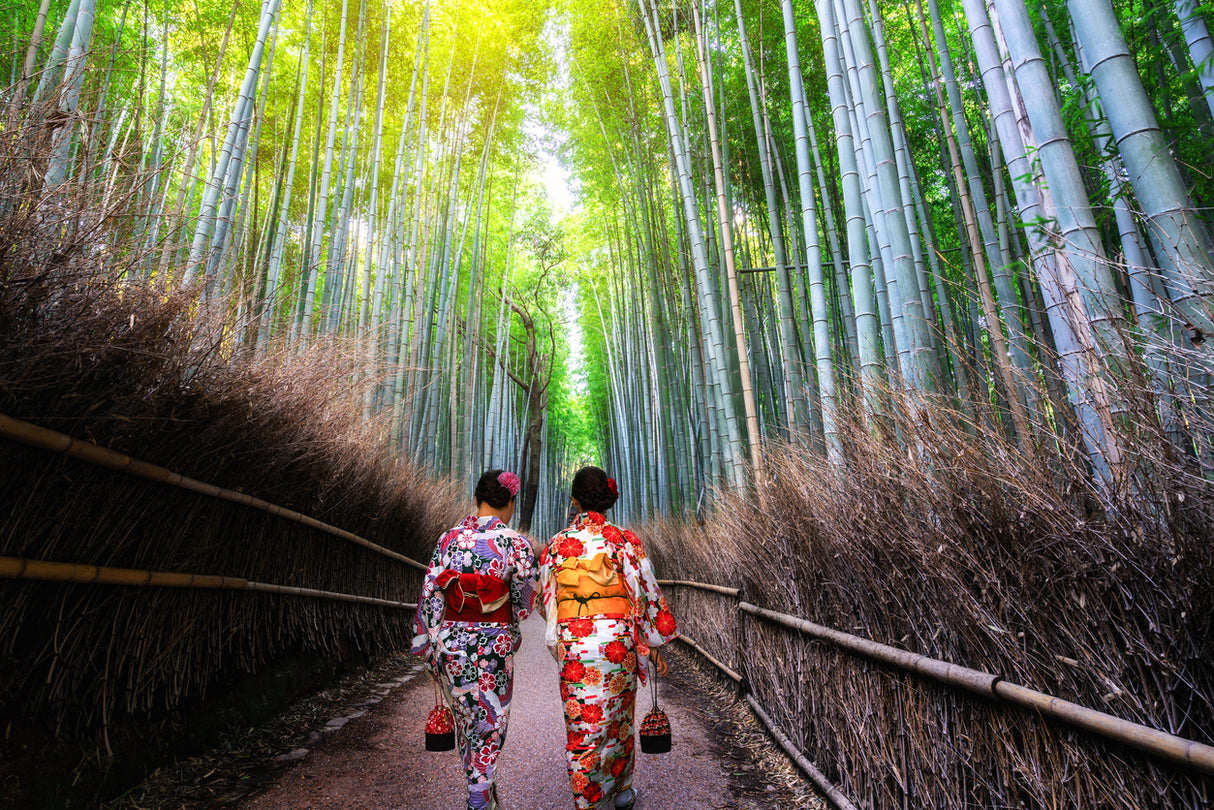 Speedy Highlights of Japan (9 days, 8 nights)