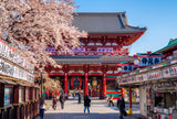 Speedy Highlights of Japan (9 days, 8 nights)