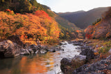 Wakayama Autumn Foliage Motorcycle Tour (5 days, 4 nights)