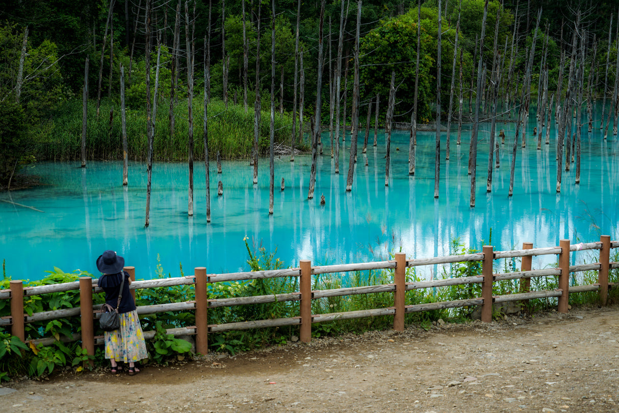 Hokkaido Highlights Tour (6 days, 5 nights)