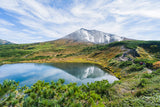 Hokkaido Highlights Tour (6 days, 5 nights)