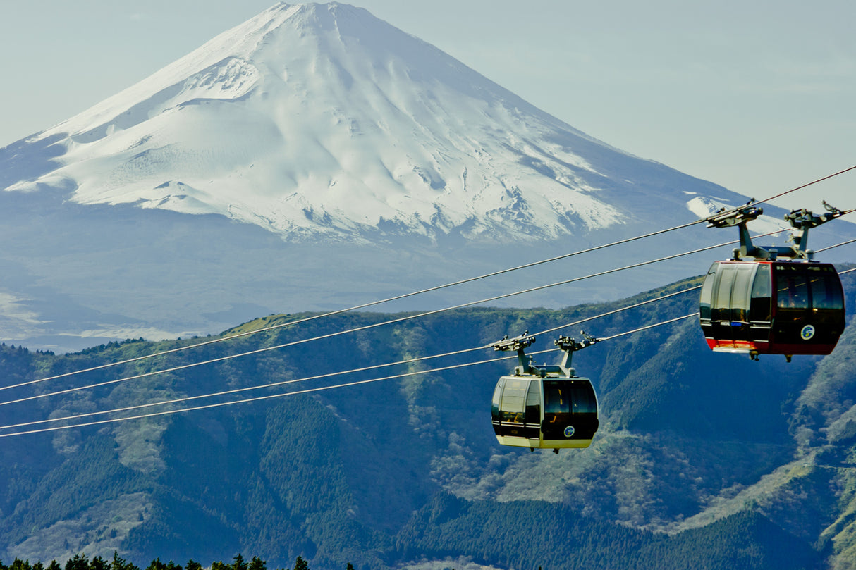 Beyond Sakura: Spring Around Tokyo (6 days , 5 nights)