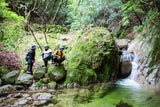 Ancient Cedars Trail: Yakushima Hiking Tour (6 days, 5 nights)