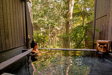 Historic Towns and Ryokan Nights (13 days, 12 nights)　