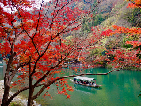 Autumn Colors Across the Old Capital (8 days, 7 nights)