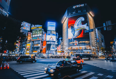 Best of Tokyo and Fuji Autumn Wonders (8 days, 7 nights)