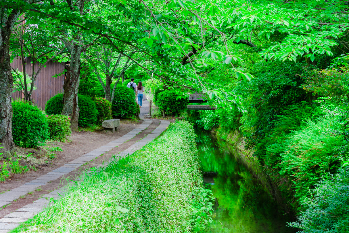 Historic Towns and Ryokan Nights (13 days, 12 nights)　