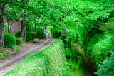 Historic Towns and Ryokan Nights (13 days, 12 nights)　