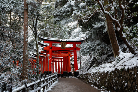 Learn to Ski, Winter in West Japan  (10 days, 9 nights)　