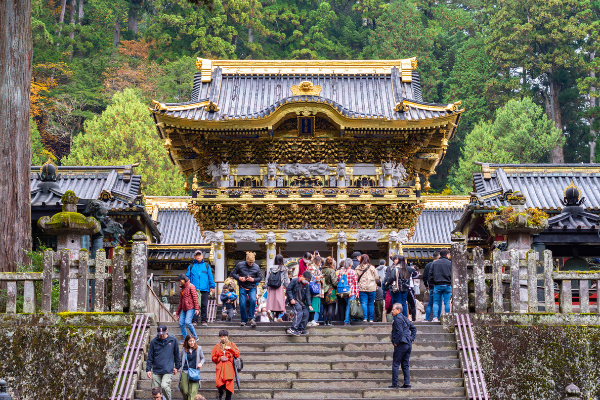 Tokyo Getaway: Nikko World Heritage & Local Tea-Picking(6 days, 5 nights)