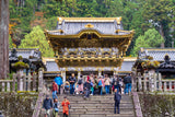 Tokyo Getaway: Nikko World Heritage & Local Tea-Picking(6 days, 5 nights)