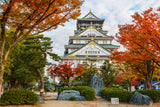 Autumn Colors Across the Old Capital (8 days, 7 nights)