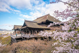 Build-Your-Own Osaka & Kyoto Tour: Classics + Sakura + Local Fun (4 days, 3 nights)