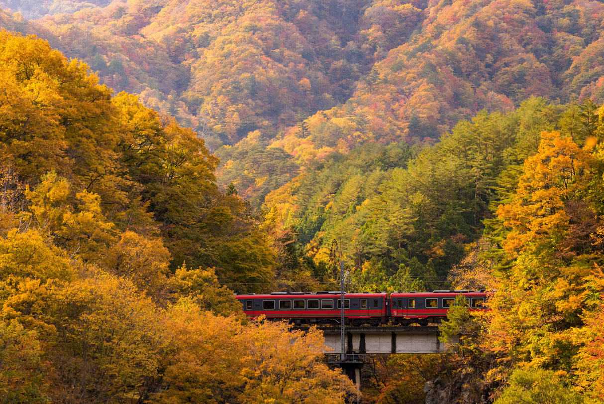 Autumn Colors Across the Old Capital (8 days, 7 nights)
