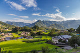 Country Life in Kyushu: A Family Journey (7 days, 6 nights)