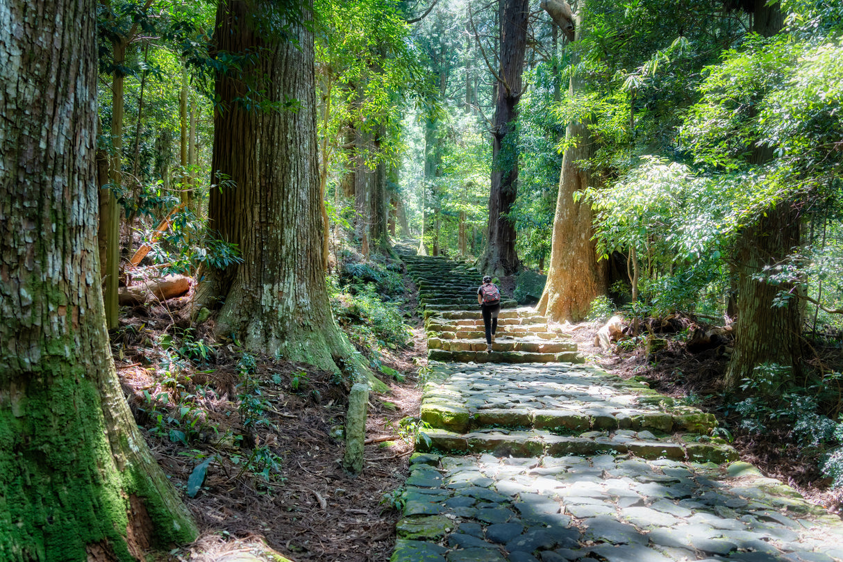 Kumano Kodo Pilgrimage  (6 days, 5 nights)