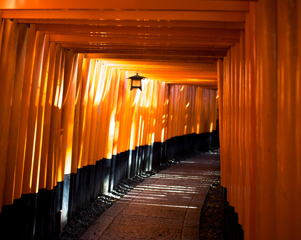 Shinto and Zen Across Japan (12 days,11 nights)