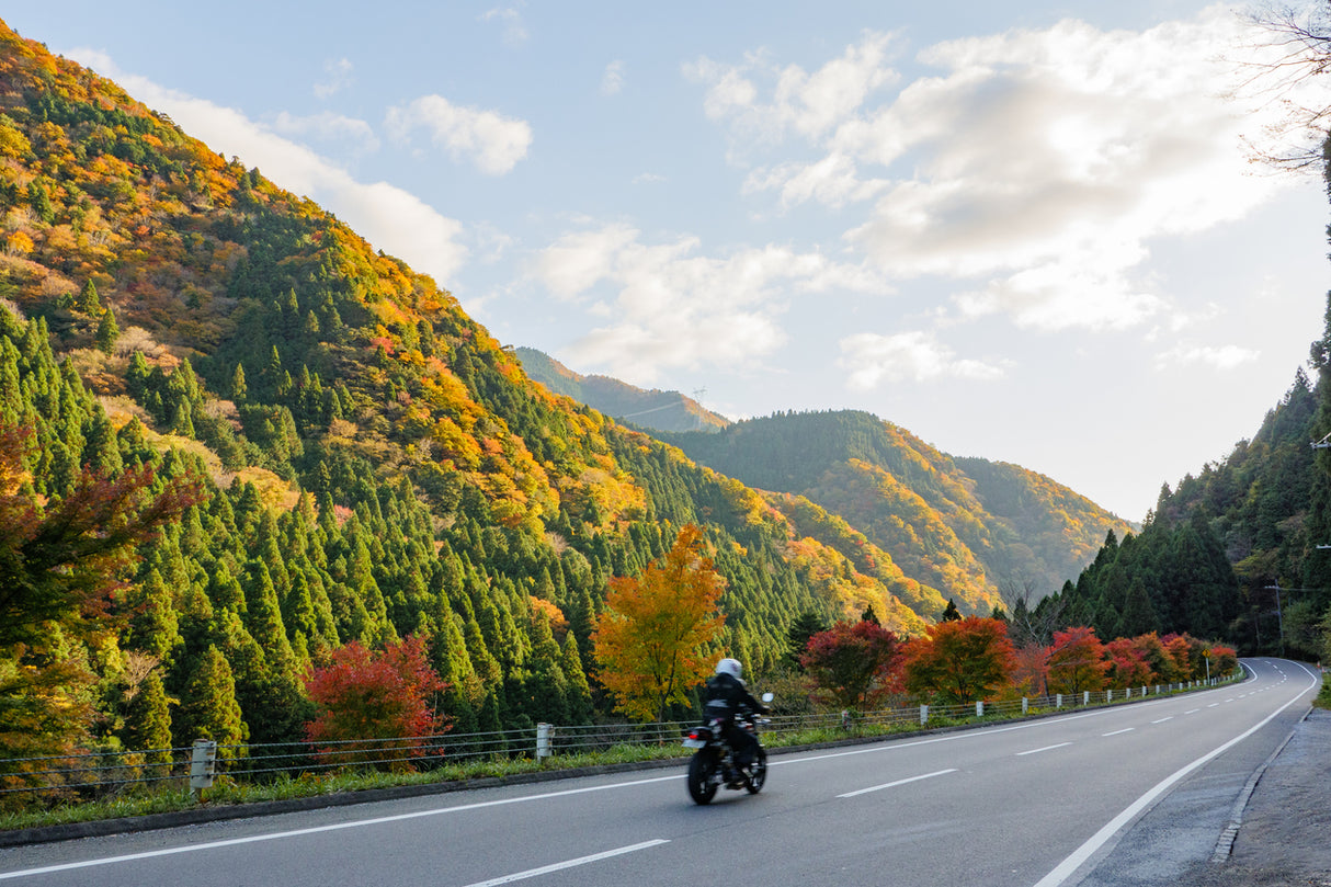 Wakayama Autumn Foliage Motorcycle Tour (5 days, 4 nights)