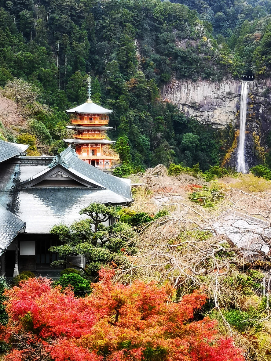 Wakayama Autumn Foliage Motorcycle Tour (5 days, 4 nights)