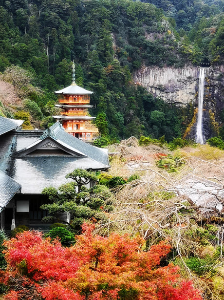 Wakayama Autumn Foliage Motorcycle Tour (5 days, 4 nights)