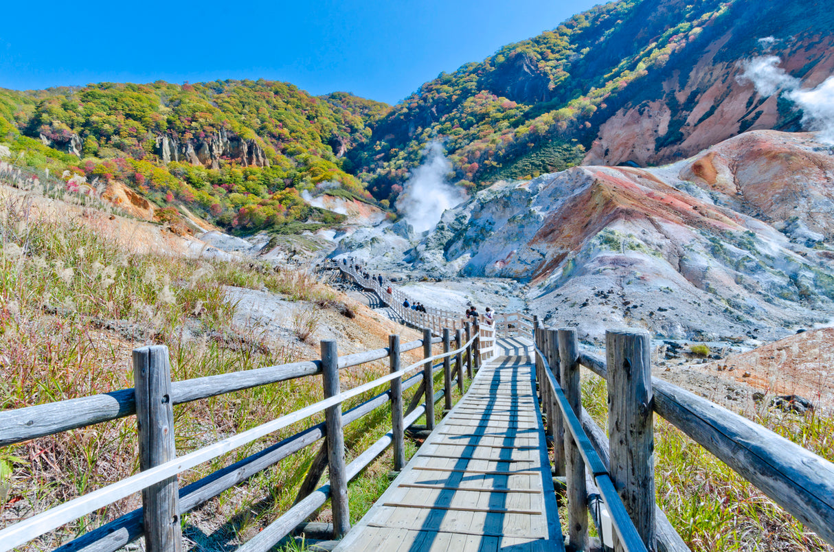 Hokkaido Highlights Tour (6 days, 5 nights)