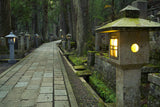 Kumano Kodo Pilgrimage  (6 days, 5 nights)