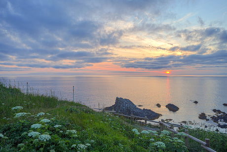 Rebun and Rishiri Island: Hokkaido's Hidden Trails (7 days, 6 nights)　