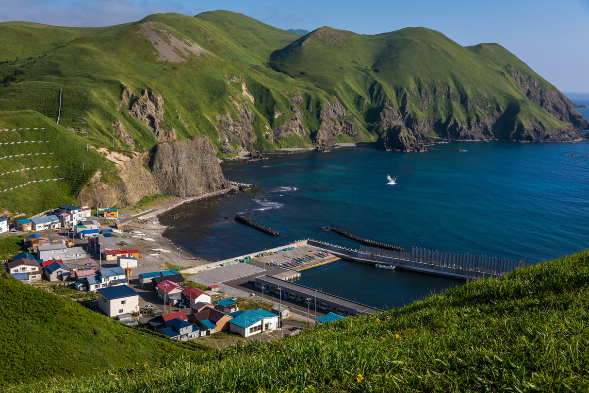 Rebun and Rishiri Island: Hokkaido's Hidden Trails (7 days, 6 nights)　